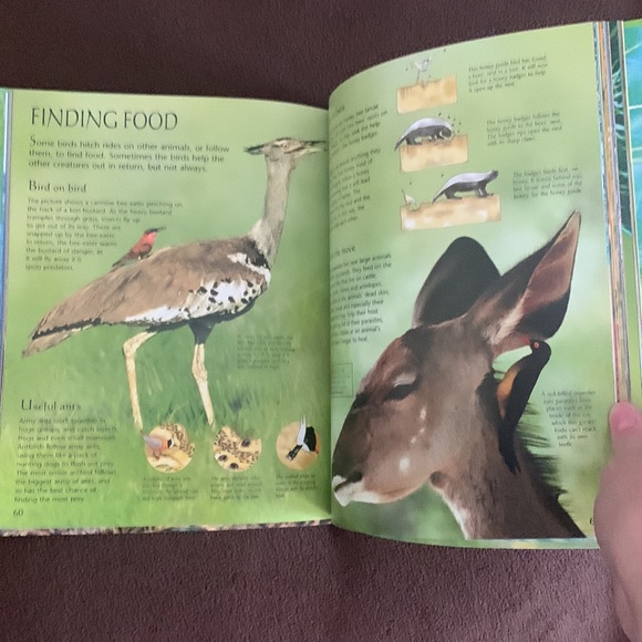 Usborne mysteries & marvels of nature book - like new - Picture 4 of 4